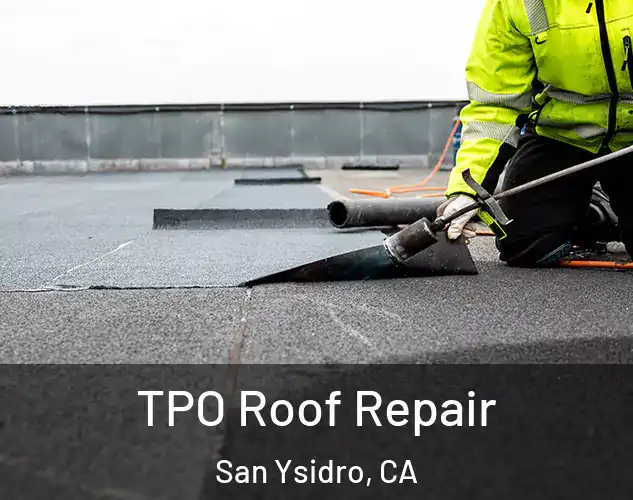  TPO Roof Repair San Ysidro, CA