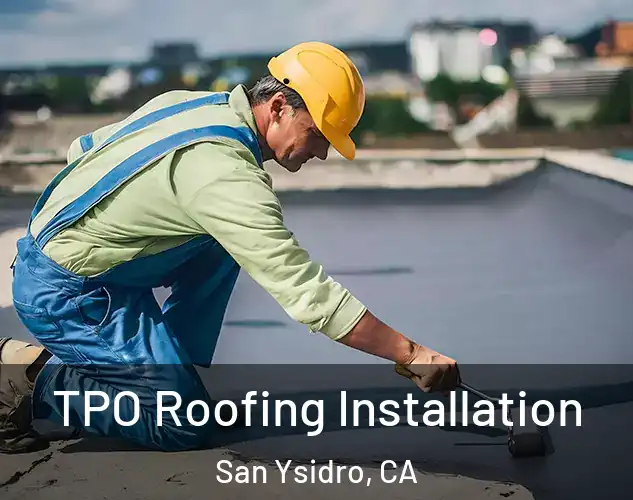  TPO Roofing Installation San Ysidro, CA